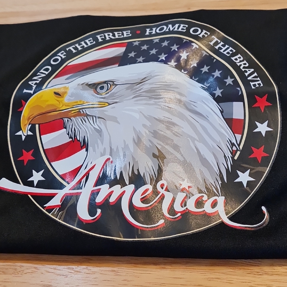 5/$15 Patriotic T-Shirt with Eagle and American Flag, Short Sleeve, NWOT